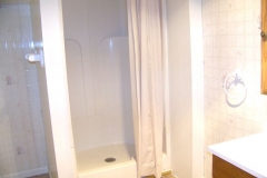 Basement bathroom shower view